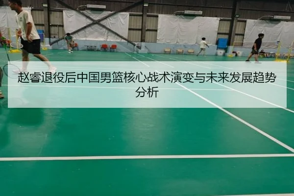 赵睿退役后中国男篮核心战术演变与未来发展趋势分析